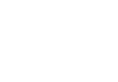 PT. Industri Inspection Service